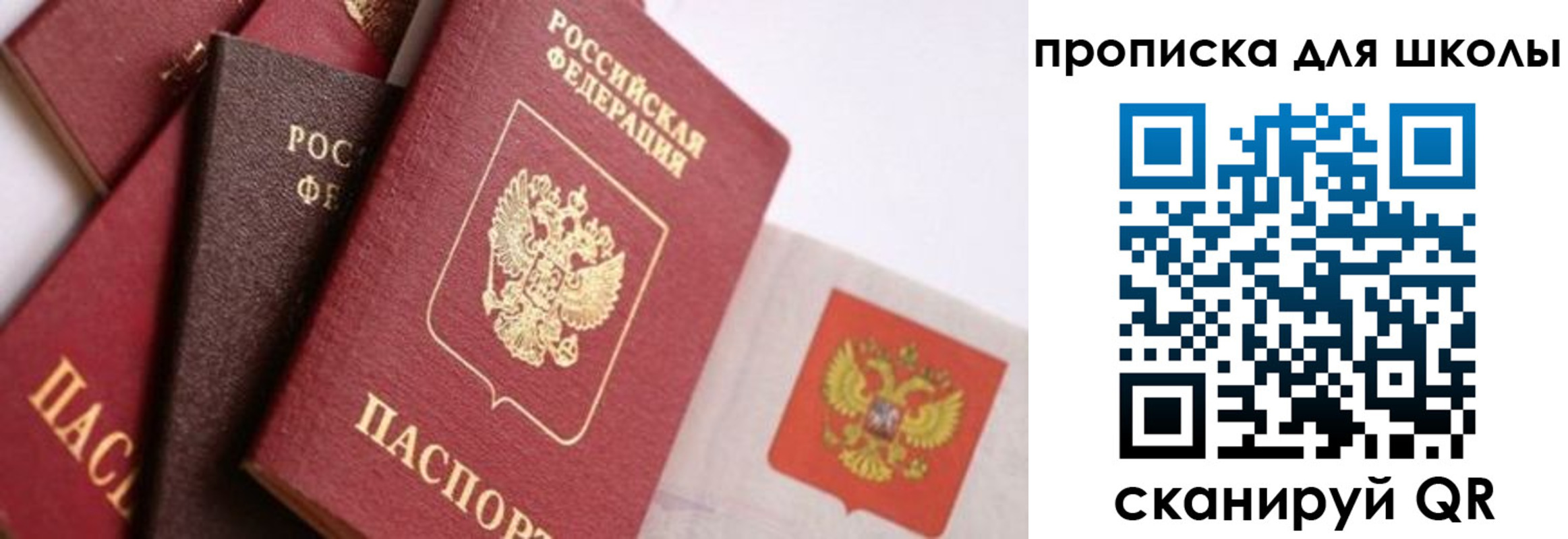 прописка поиск в Краснокаменске